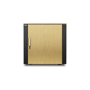 AR4000MV_APC by Schneider Electric NetShelter CX Mini Enclosure Rack Cabinet