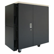 AR4024IA_APC by Schneider Electric NetShelter CX 24U Secure Soundproof Server Room in a Box Enclosure International