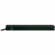 PDUMH20_Tripp Lite PDUMH20 PDU Metered 120V 20A 12 Outlet