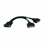 P576-001_Tripp Lite DMS-59 to 2x DVI-I F Splitter Cable