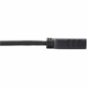 Tripp Lite 6in DisplayPort to HDMI Adapter Converter DP to HDMI M/F 6" - P136-000