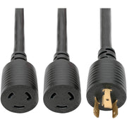 Tripp Lite 1ft Power Cord Y Splitter Cable L6-20P to 2xL6-20R for PDU/UPS 20A 10AWG 1'