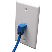 Tripp Lite by Eaton N204-010-BL-DN Cat6 Patch Cable - N204-010-BL-DN