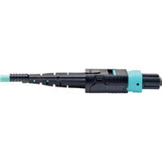 Tripp Lite by Eaton 10 Meter MTP / MPO Patch Cable, 12 Fiber, 40GbE Aqua OM3 Plenum - N844-10M-12-P