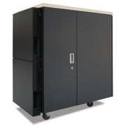 APC by Schneider Electric NetShelter CX 24U Secure Soundproof Server Room in a Box Enclosure - AR4024A