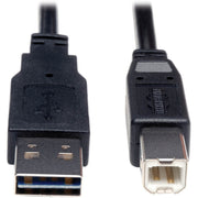 UR022-006_Tripp Lite series Universal Reversible USB 2.0 A-Male to B-Male Device Cable - 6ft