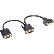 Tripp Lite 6in DVI Digital Y Splitter Cable DVI-I M to DVI-D F and HD15 F 6" - P564-06N-DV