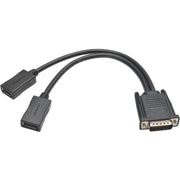Tripp Lite by Eaton DMS-59 to Dual DisplayPort Splitter Y Cable (M to 2xF) 1-ft.
