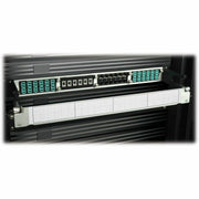 Tripp Lite High Density Copper Fiber Enclosure Panel 4-Cassette Capacity 1U - N484-01U