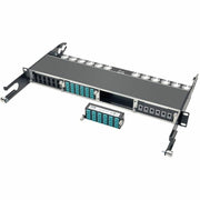 Tripp Lite 10GbE High Density Pass-Through Cassette 12 LC Duplex Connection