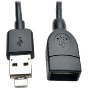 Tripp Lite by Eaton 6IN OTG CABL 2-in-1 Connector - U052-06N-OTG-AM