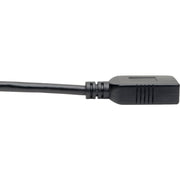 Tripp Lite by Eaton U428-06N-F USB Data Transfer Cable - U428-06N-F