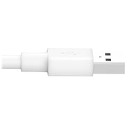 Tripp Lite by Eaton USB Sync/Charge Cable with Lightning Connector, White, 10 ft. (3 m) - M100-010-WH