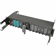 Tripp Lite 12-Fiber Patch Panel MTP/MTO x 12 40Gb Pass Through Cassette - N482-12M12-X2