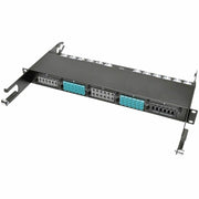 Tripp Lite 12-Fiber Patch Panel MTP/MTO x 12 40Gb Pass Through Cassette - N482-12M12-X2