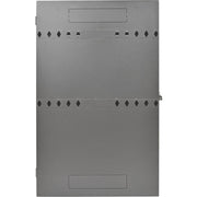 Tripp Lite by Eaton SmartRack SRWF4U36 Rack Cabinet - SRWF4U36