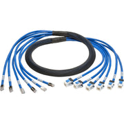 Tripp Lite by Eaton N261-006-6MF-BL Cat.6a Patch Network Cable
