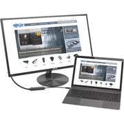Tripp Lite by Eaton U444-016-D USB/DVI Video Cable - U444-016-D
