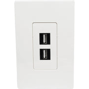 Tripp Lite by Eaton 2-Port Single-Gang Universal Keystone Wallplate, White - N080-102