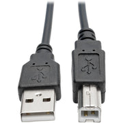 Tripp Lite series USB 2.0 Hi-Speed A/B Coiled Cable (M/M), 10 ft - U022-010-COIL