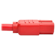 Tripp Lite series P018-006-ARD Standard Power Cord - P018-006-ARD