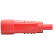 Tripp Lite series P018-006-ARD Standard Power Cord - P018-006-ARD