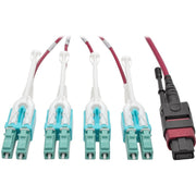 Tripp Lite by Eaton N845-01M-8L-MG MTP/MPO to 8xLC Fan-Out Patch Cable, Magenta, 1 m