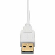 Tripp Lite series P137-06N-DVI-DL Mini DisplayPort to DVI Dual-Link Active Converter (M/F), 6 in - P137-06N-DVI-DL