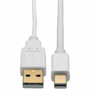 Tripp Lite series P137-06N-DVI-DL Mini DisplayPort to DVI Dual-Link Active Converter (M/F), 6 in - P137-06N-DVI-DL