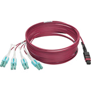 Tripp Lite by Eaton N845-05M-8L-MG MTP/MPO to 8xLC Fan-Out Patch Cable, Magenta, 5 m - N845-05M-8L-MG