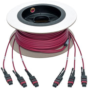 Tripp Lite by Eaton N858-15M-3X8-MG MTP/MPO Multimode Base-8 Trunk Cable, Magenta, 15 m - N858-15M-3X8-MG