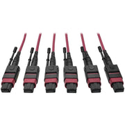 Tripp Lite by Eaton N858-15M-3X8-MG MTP/MPO Multimode Base-8 Trunk Cable, Magenta, 15 m