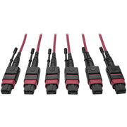 Tripp Lite by Eaton N858-61M-3X8-MG MTP/MPO Multimode Base-8 Trunk Cable, Magenta, 61 m