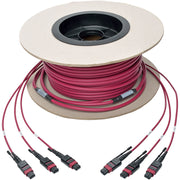 Tripp Lite by Eaton N858-61M-3X8-MG MTP/MPO Multimode Base-8 Trunk Cable, Magenta, 61 m - N858-61M-3X8-MG