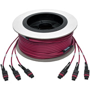 Tripp Lite by Eaton N858-23M-3X8-MG MTP/MPO Multimode Base-8 Trunk Cable, Magenta, 23 m - N858-23M-3X8-MG