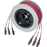 Tripp Lite by Eaton N858-23M-3X8-MG MTP/MPO Multimode Base-8 Trunk Cable, Magenta, 23 m - N858-23M-3X8-MG