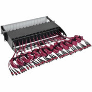 Tripp Lite by Eaton N48K-42M8L168-B 50/125 Breakout Fiber Patch Panel - N48K-42M8L168-B