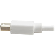 Tripp Lite by Eaton DisplayPort/Mini DisplayPort A/V Video Cable - P139-06N-DP-V2B