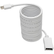 Tripp Lite by Eaton Keyspan P139-010-DP-V2B DisplayPort/Mini DisplayPort Audio/Video Cable - P139-010-DP-V2B