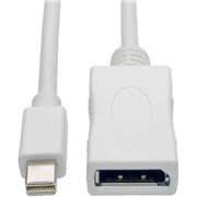 Tripp Lite by Eaton Keyspan P139-006-DP-V2B DisplayPort/Mini DisplayPort Audio/Video Cable