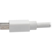 Tripp Lite by Eaton Keyspan P139-006-DP-V2B DisplayPort/Mini DisplayPort Audio/Video Cable - P139-006-DP-V2B