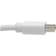 Tripp Lite by Eaton Keyspan P139-003-DP-V2B DisplayPort/Mini DisplayPort Audio/Video Cable - P139-003-DP-V2B