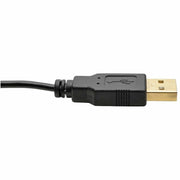 Tripp Lite series P130-06N-DP-V2 HDMI to DisplayPort Active Converter 4K (M/F) - P130-06N-DP-V2