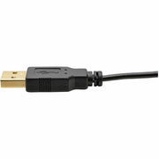 Tripp Lite series P130-06N-DP-V2 HDMI to DisplayPort Active Converter 4K (M/F) - P130-06N-DP-V2