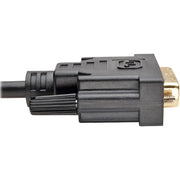 Tripp Lite by Eaton P561-020 DVI-D Video Cable - P561-020