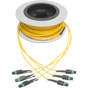Tripp Lite by Eaton N392-11M-3X8-AP Fiber Optic Patch Network Cable - N392-11M-3X8-AP