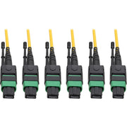 Tripp Lite by Eaton N392-38M-3X8-AP Fiber Optic Patch Network Cable
