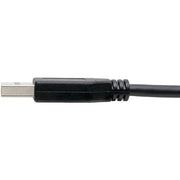 Tripp Lite series USB 3.1 Gen 1 (5 Gbps) Cable, USB Type-C (USB-C) to USB Type-A M/M, 6-ft. - U428-006