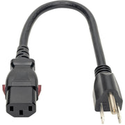 Tripp Lite by Eaton P006-L01 Standard Power Cord - P006-L01