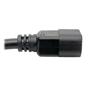 Tripp Lite by Eaton P005-L10 Power Extension Cord - P005-L10